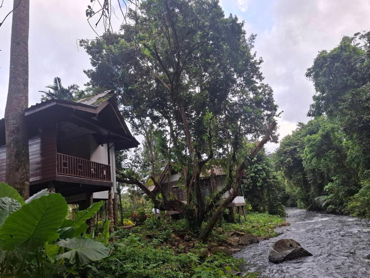 Tree Tops River Huts Khao Sok National Park Esterno foto